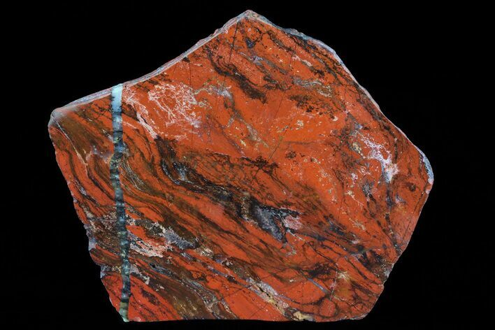Polished Tiger Iron Stromatolite - ( Billion Years) #76119